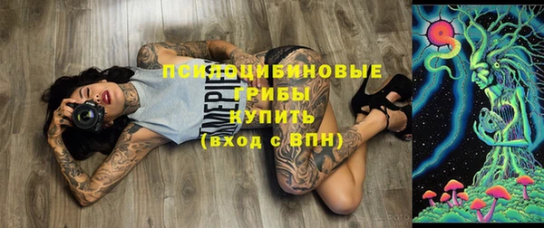 твердый Армянск