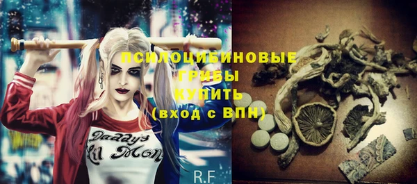метадон Арсеньев