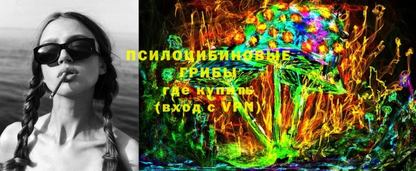 твердый Армянск