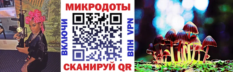 наркота  Нижние Серги  Галлюциногенные грибы Psilocybine cubensis 